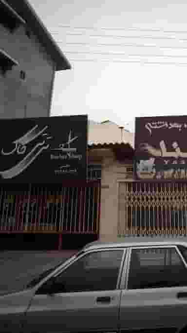 تی تی کاک در نشاط قائم شهر