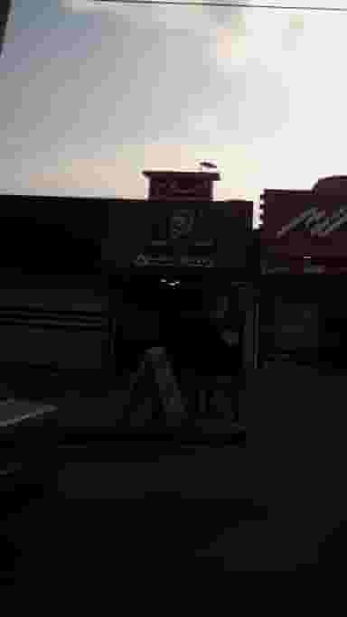 پیرایش محمد مهدی در گلستان قائم شهر