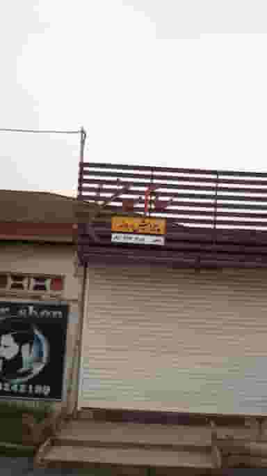 پیرایش مردانه سام سون در مولوی قائم شهر