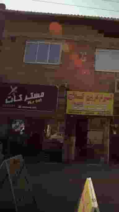 مستر کات در گلستان قائم شهر