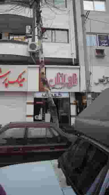 فلورانس در امام خمینی قائم شهر