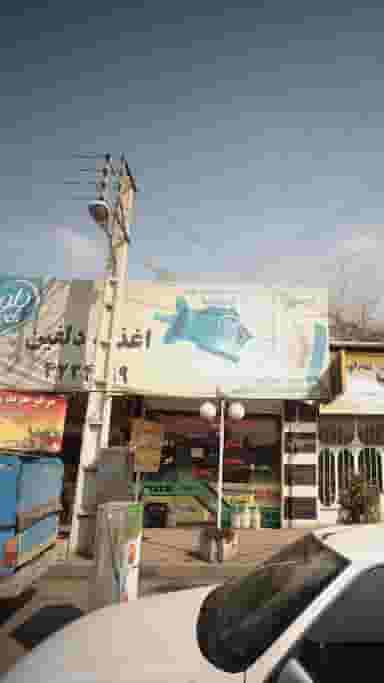 اغذیه دلفین در اخلاص قائم شهر