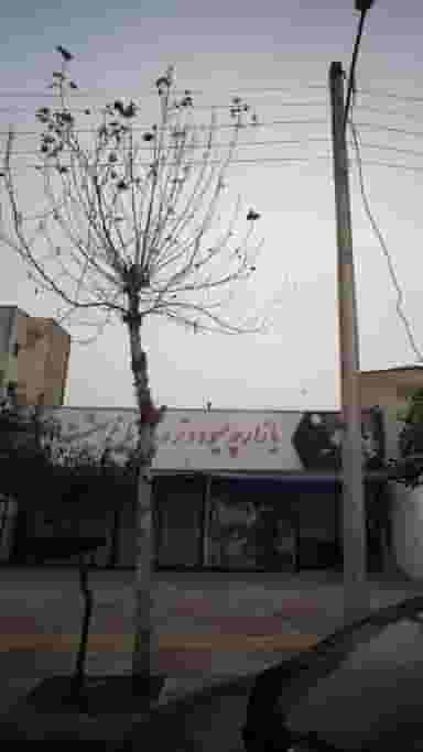 بازارچه میوه و تره بار باغ بهشت در جویبار قائم شهر