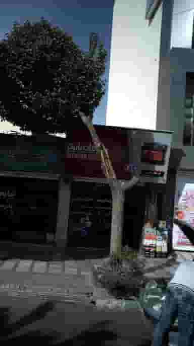 باطری دولتی در شهر فردیس