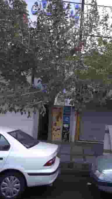 آموزشگاه موسیقی طیبی پور 