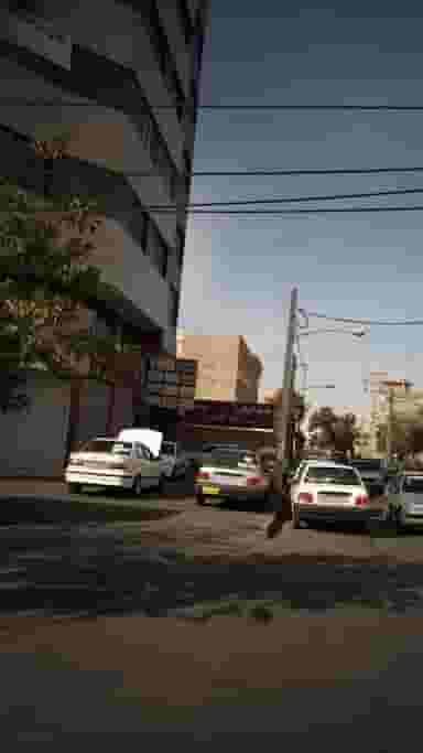 دندانپزشکی کودکان در شهر فردیس