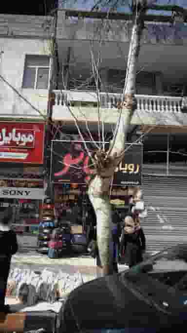 رویای بانو در امام خمینی لاهیجان