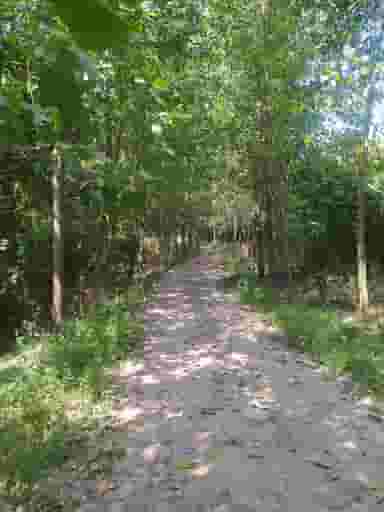 سراب سنقر در شهر سنقر