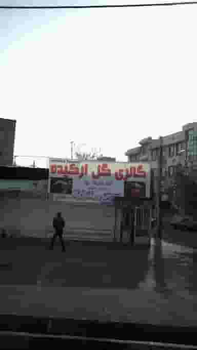 گالری گل ارکیده در شهر کرج