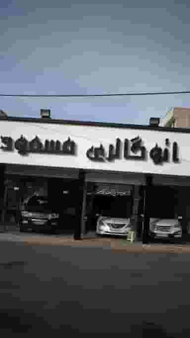 نمایشگاه اتوگالری مسعود در شهر فردیس