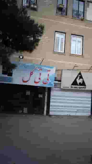 تی تی گل شهرک طالقانی فردیس