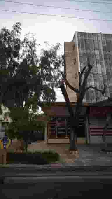 اغذیه مهدی شهر قصه محمود آباد