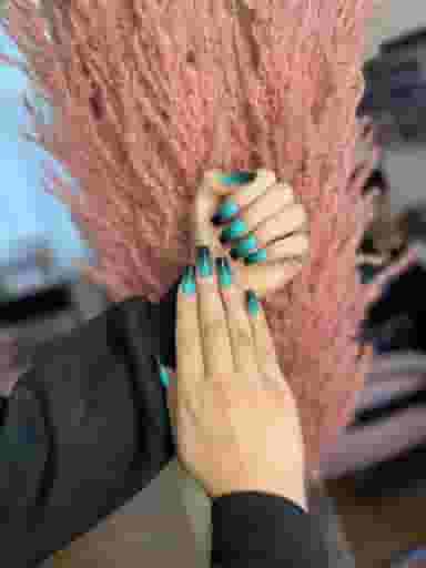 اكادمي زيبايي نگاررئيسي