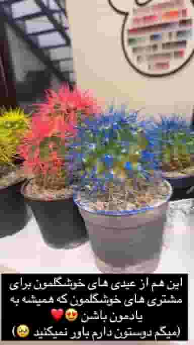 سالن زیبایی بیوتی کوئین