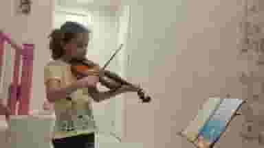 تدریس خصوصی ویولن - الناز شهرجردی