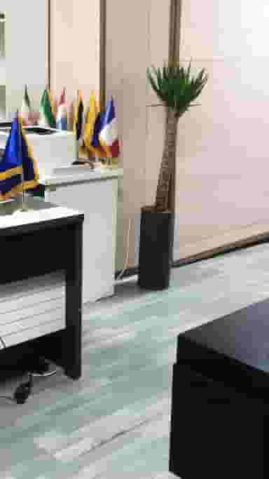 دارالترجمه رسمی 838