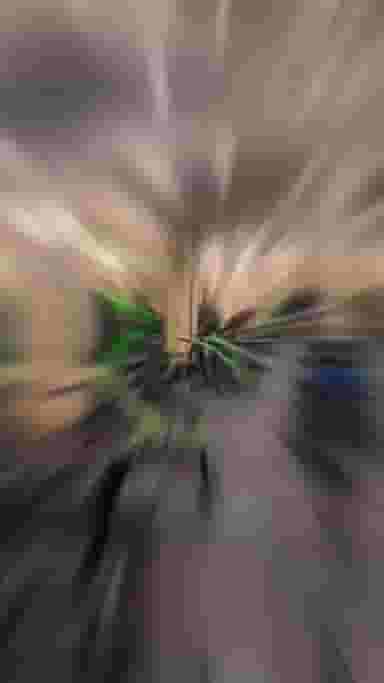 باشگاه بدنسازی و کراسفیت نوین تن شعبه۲