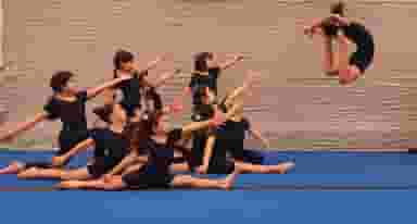 آکادمی ژیمناستیک ویوا