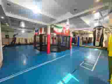 باشگاه هنر های رزمی دلشاد