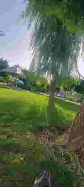 پارک رفاه در فاز ۱ اندیشه شهریار