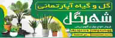 گل فروشی شهر گل در فاز ۱ اندیشه شهریار