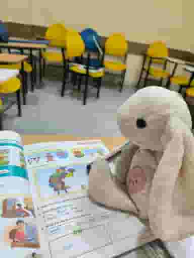 مدرس زبان انگلیسی انلاین