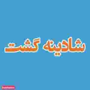 آژانس هواپیمایی شادینه گشت