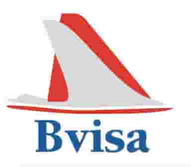 کارگزاری بی ویزا (Bi Visa )