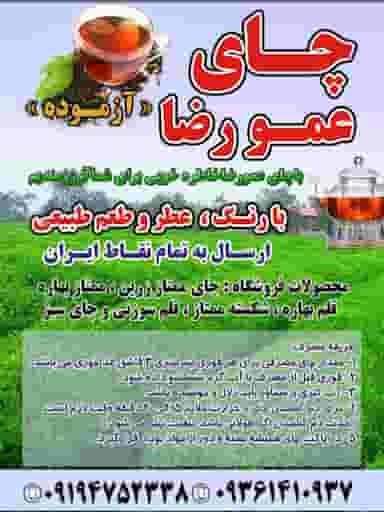محصولات شمال عمو رضا در موسی آباد اسلام‌شهر