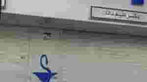 داروخانه علیم دادا