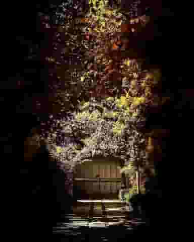 موسسه فرهنگی هنری کارنامه