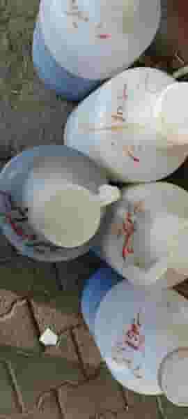 آجیل خشکبارلازمی در پیر شمس الدین اردبیل