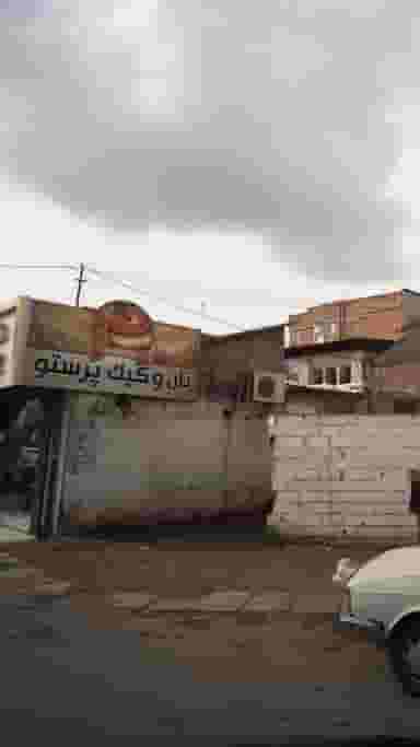 نانوکیک پرستو در چاک سر آمل