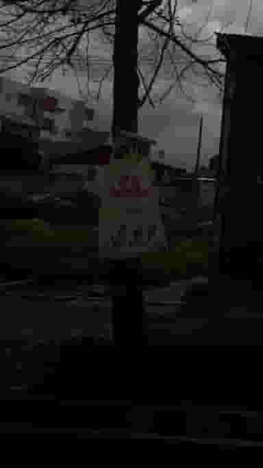 نانوایی سنگک - بربری در جانبازان آمل