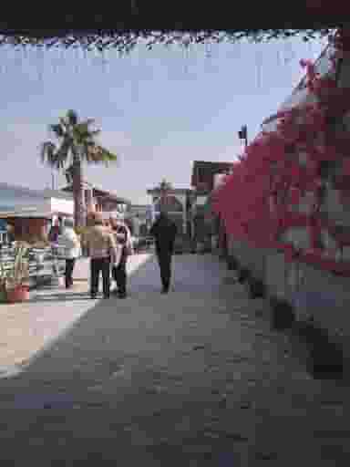 باغ رستوران میزبان شهرک شهید رجایی آمل