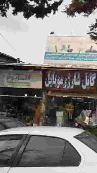 گالری گل آنتریوم در گرجی محله آمل