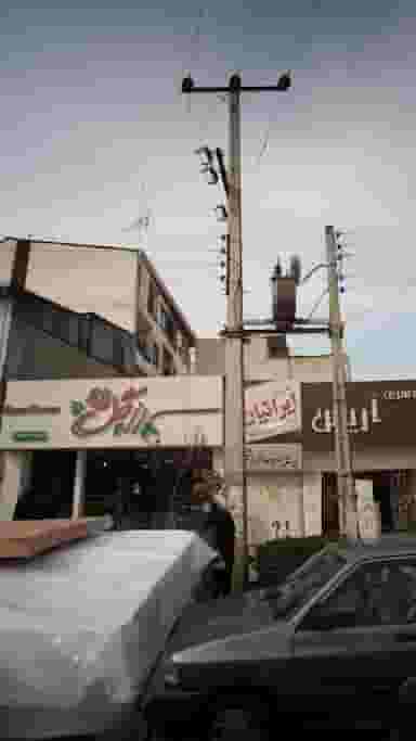 رز گل در گرجی محله آمل