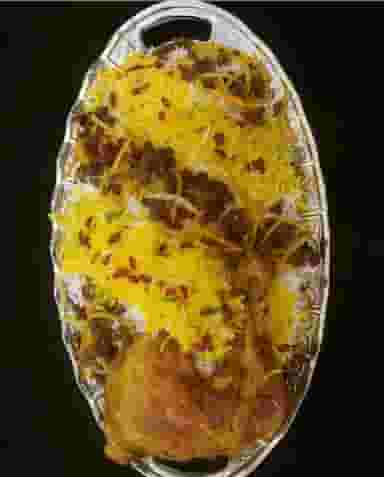 غذای خانگی آنی در ابراهیم آباد اردبیل