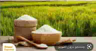 برنج فروشی یوسف یوسفی کیا در فردوسی اردبیل