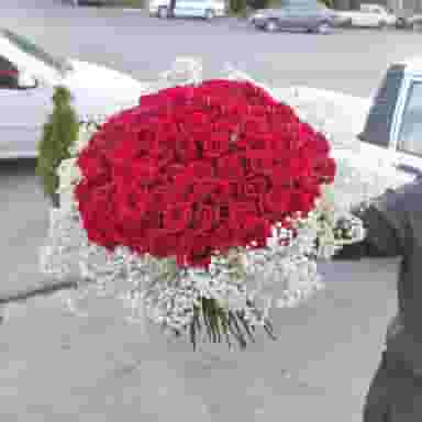 گل لوتوس (lotus flowershop) در آزادی اردبیل