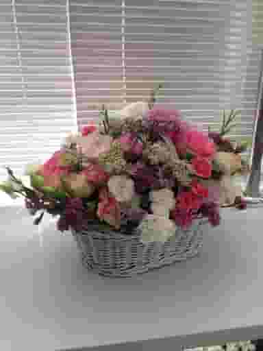 گل پارمیس در آزادگان اردبیل