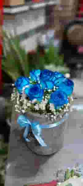 گلفروشی پونه اردبیل در علیه اردبیل