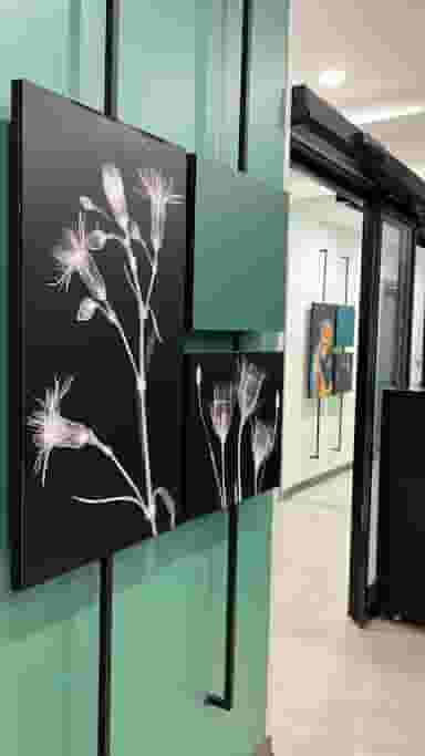 سونوگرافی و رادیولوژی دکتر جعفر احمدی در فردوسی کرمان