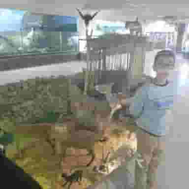 موزه دیرینه شناسی و حیات طبیعی در فردوسی کرمان