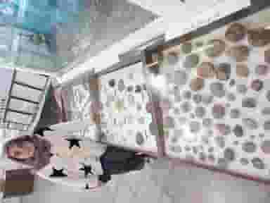 موزه دیرینه شناسی در فردوسی کرمان