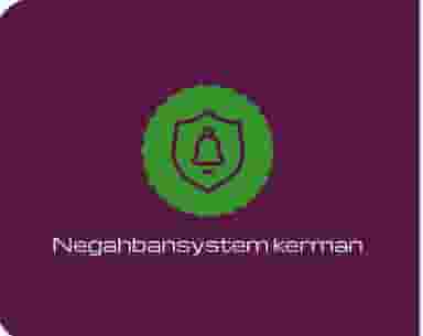 شرکت نگهبان سیستم در آبنوس کرمان