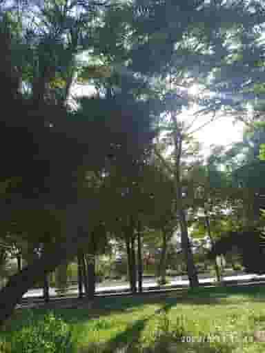 پارک مادر در علوم پزشکی کرمان