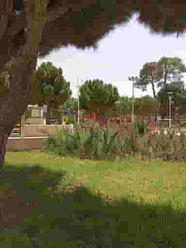 بوستان باغ ملی در بازار کرمان