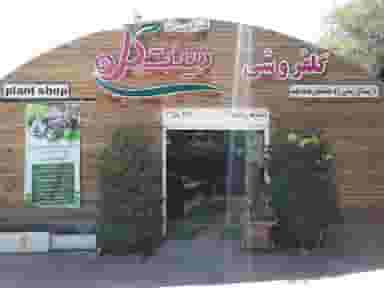 گلفروشی زینت گل در علوم پزشکی کرمان