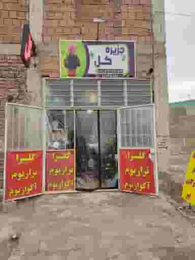 گلفروشی جزیره گل در شهر کرمان